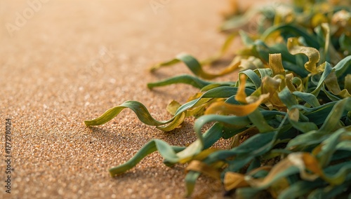 Wallpaper Featuring Seaweed...
