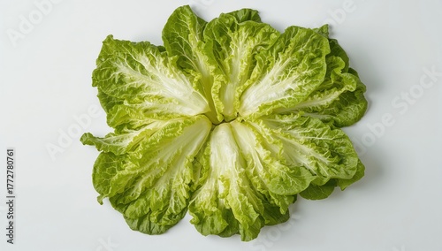 Fresh lettuce leaves on a w...