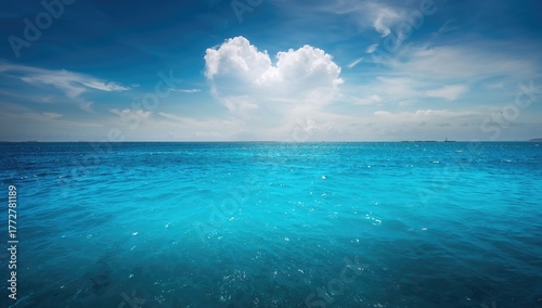 Beautiful sky above a vast ...