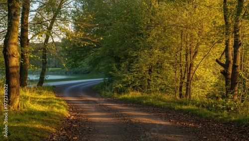 A dirt path winding through...