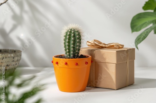 Single fluffy cactus in an ...