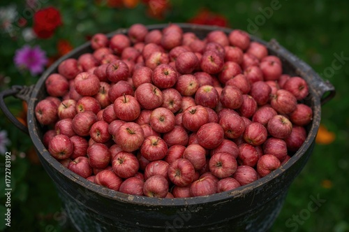 Close-up view of a bucket b...