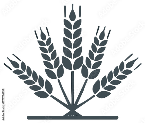 Stylized Dark Gray Wheat Stalks Forming a Fan Shape Isolated on White