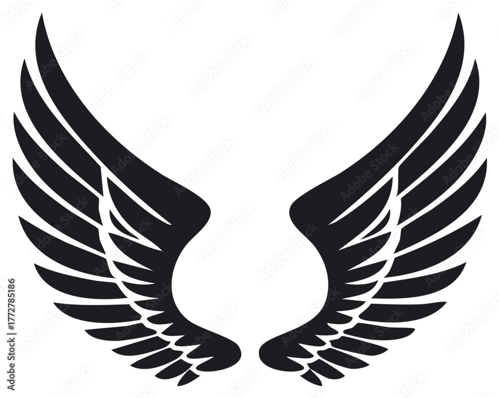 Obraz premium Silhouette of two black wings, isolated vector illustration, graphic design element.
