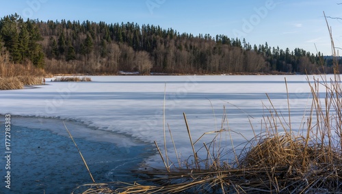 Beautiful Winter Landscape,...