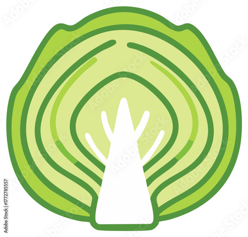 Stylized illustration of a halved green cabbage with concentric layers and a central core