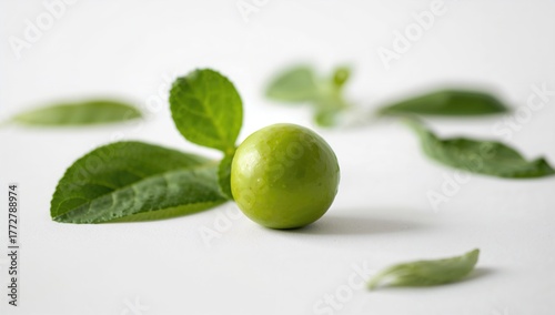 Wallpaper Mural Cow-pea on a white backdrop, nutritious plant ingredient, fiber-dense choice Torontodigital.ca