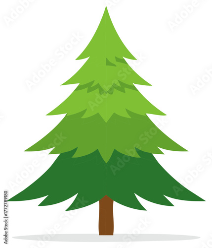 Evergreen tree with layered green branches and brown trunk simple illustration