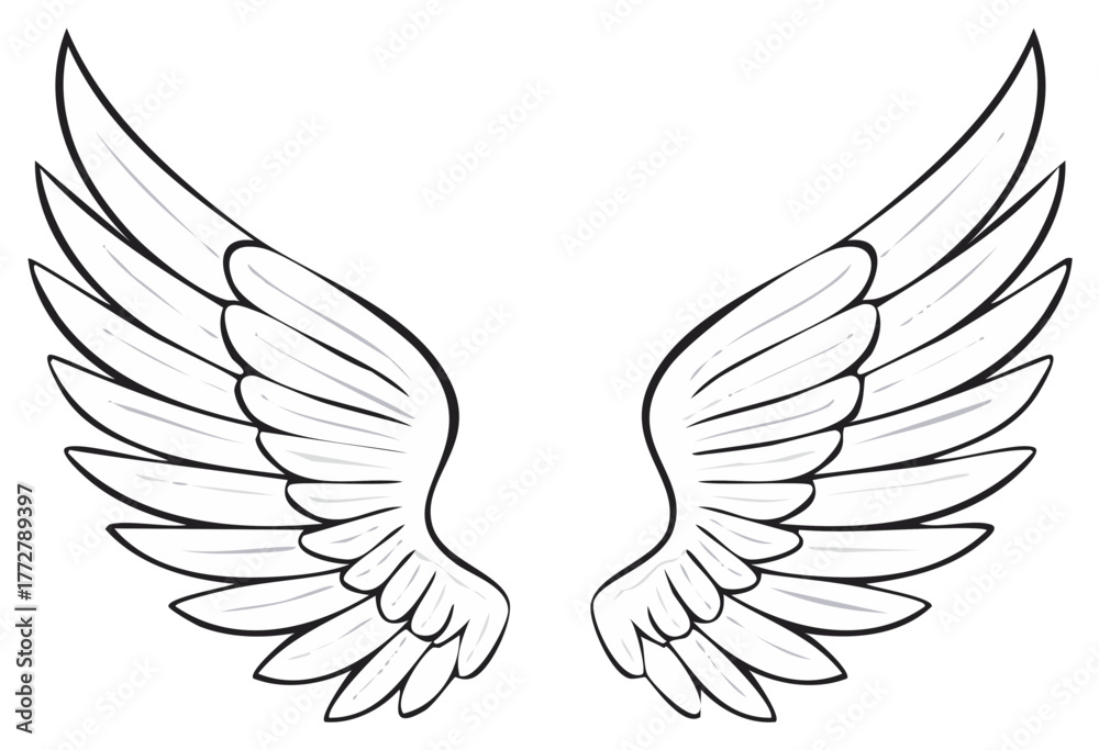 Fototapeta premium Stylized Feathered Wings: Symmetrical Angelic Pair Illustration