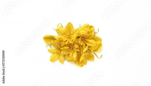 Yellow floral arrangement a...