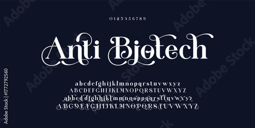 Elegant alphabet letters font and number. Classic Lettering Minimal Fashion Designs. Typography modern serif fonts decorative vintage wedding concept. vector illustration