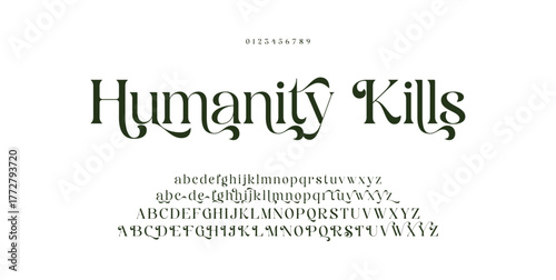 Typography Luxury wedding alphabet letters font and number. Elegant classic lettering serif fonts decorative vintage retro concept. vector illustration