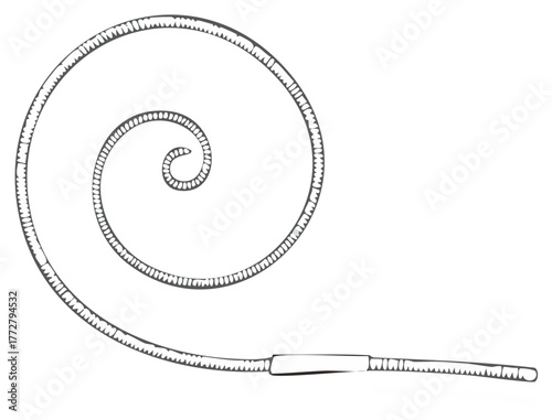 Decorative spiral coiled whip graphic element with textured outline and handle detail
