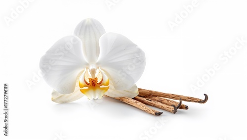 Blooming vanilla orchid wit...