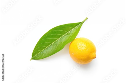Single lemon and green leaf...
