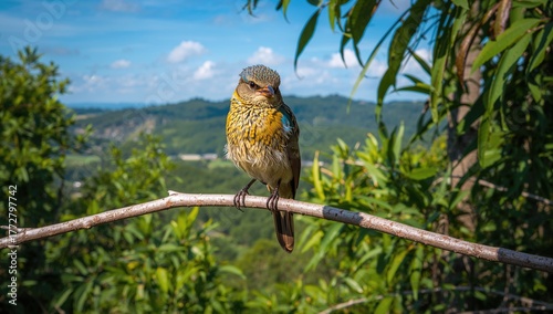 Bird resting on a branch, s...