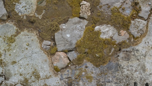 Ancient rock surface covere...