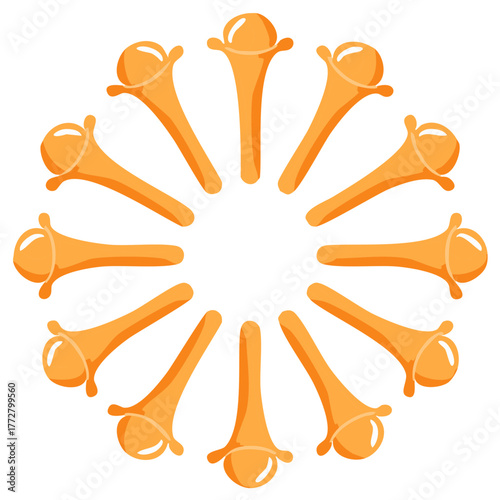 Circular Arrangement of Cloves in Warm Orange Color