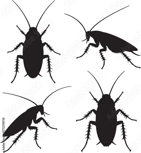 set of silhouette cockroach transparent