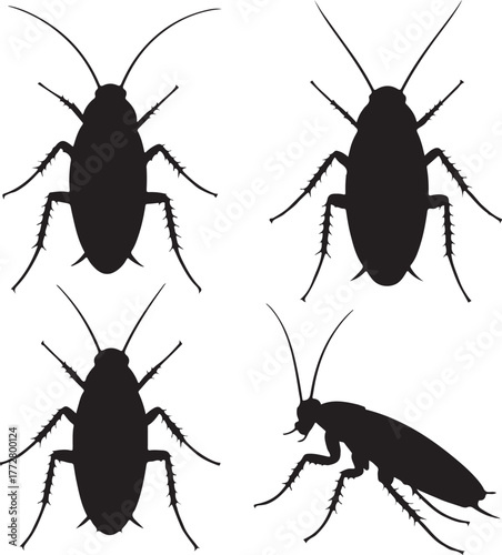 set of silhouette cockroach transparent