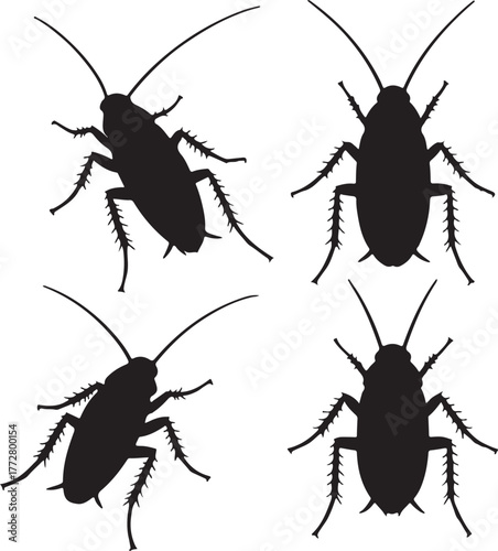 set of silhouette cockroach transparent
