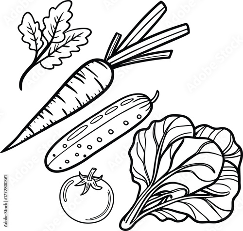 “Healthy Food Doodle Vector Set – Fresh Carrot, Tomato, Cucumber, and Leafy Greens Line Art for Kids Educational Coloring Book and Organic Design Projects”