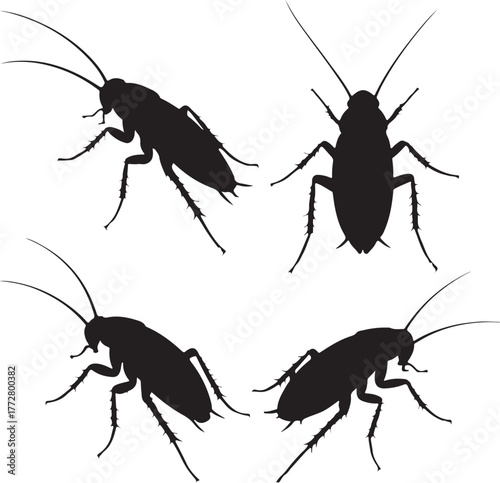 set of silhouette cockroach transparent