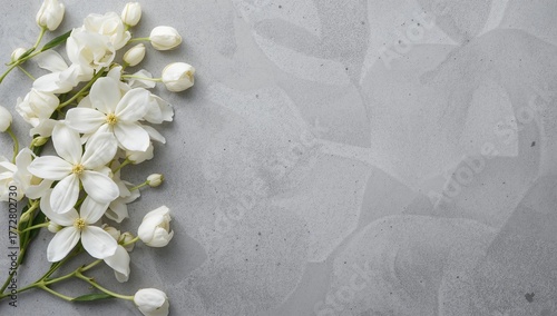 White jasmine blossoms arra...