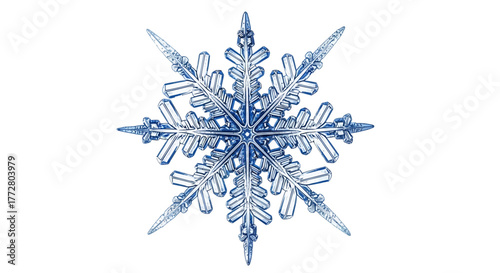 Magnified marvels: Intricate ice crystals showcase winter's symmetrical artistry