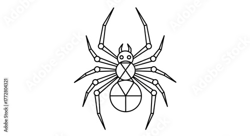 Geometric spider line art illustration with intricate leg joints and body markings arachnid drawing