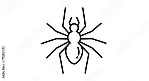 Simple spider outline illustration with eight legs on a plain white background creating a basic