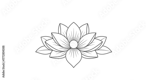 Elegant monochrome lotus blossom with detailed line work against a pristine backdrop
