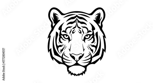 Striking tiger head illustration with bold black lines on a white background