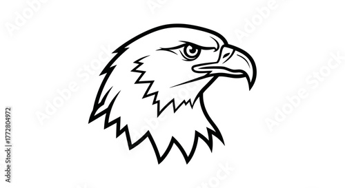 Minimalist illustration of a majestic eagle head with sharp gaze and detailed feather outline