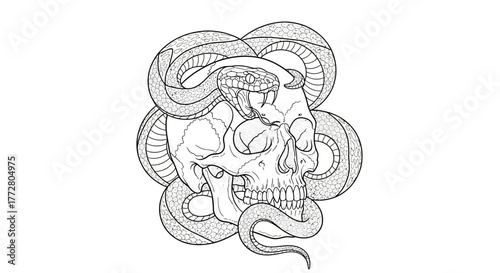 Intricate illustration of a skull encircled by a snake emblem of mortality and danger