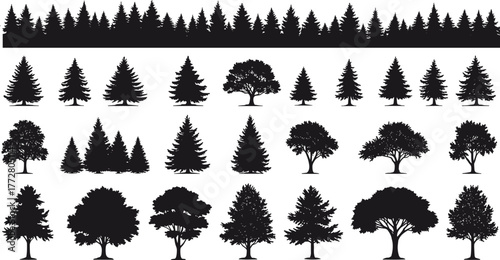 Tree silhouette vector, forest clipart set, conifer illustration, deciduous tree design, landscape nature art, woodland graphic, botanical plant outline