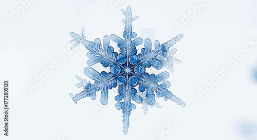 Detailed macro photograph showcasing a singular, intricate, icy blue snowflake against a snowy