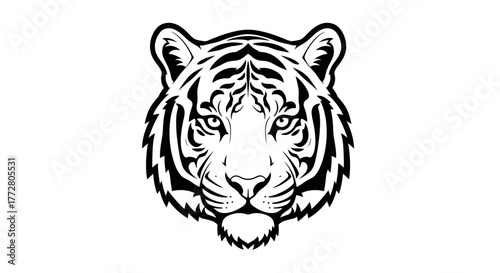 Striking black and white illustration of a fierce tiger's head graphic design