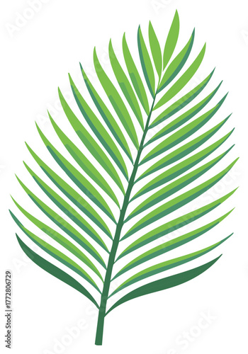 Tropical Green Palm Frond Illustration Isolated on White Background