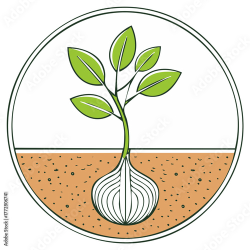Sprouting plant growing from a bulb in a cross section of soil circular icon illustration