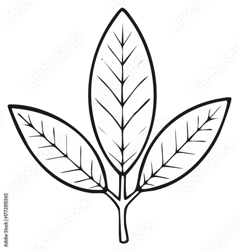 Simple Outline of Three Elliptical Leaves Connected at Their Stems