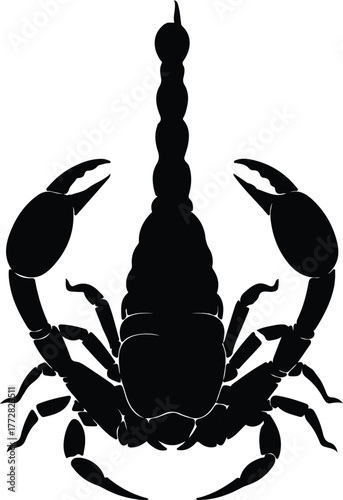 Vector dark scorpion predatory arachnid abstract silhouette illustration