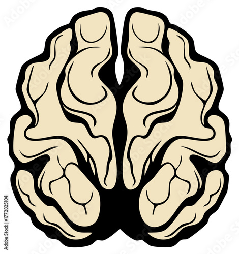 Stylized Anatomical Human Brain Top View Cartoon Illustration