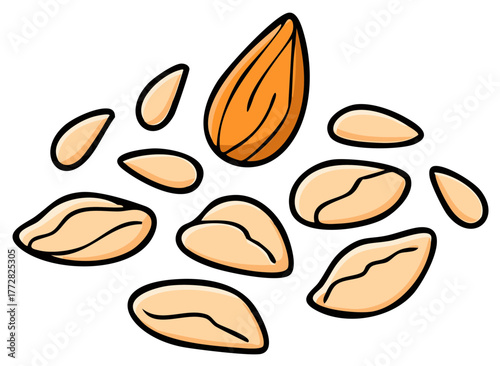 Hand drawn cartoon illustration of assorted healthy nuts like almonds, peanuts, and seeds