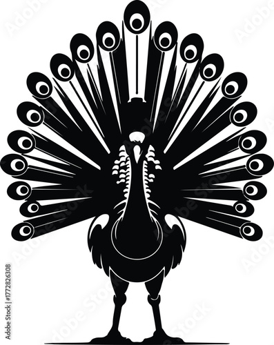 Vector Peacock exhibiting plumage display black and white silhouette illustration