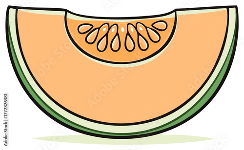 Illustration of a Vibrant Cantaloupe Slice Showing Seeds and Bold Green Rind Fresh Food