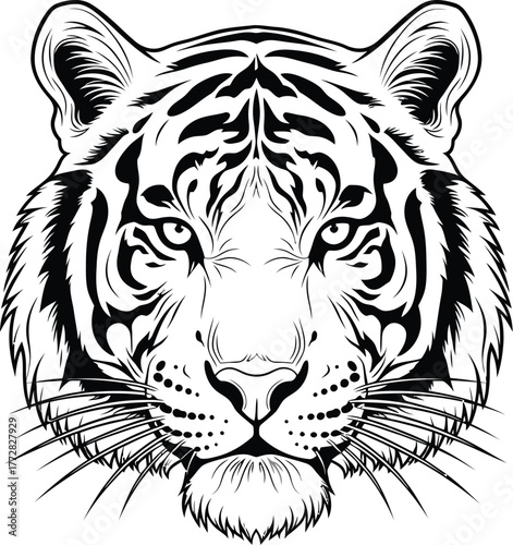 Tiger face animal feline predator mammal wildlife nature zoo bengal stripes cat