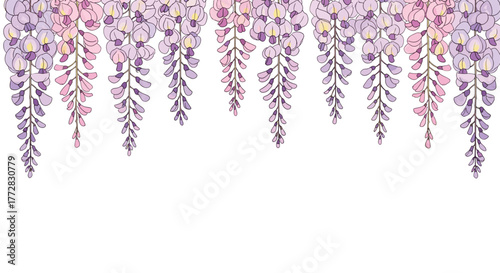 Delicate cascading wisteria flowers in soft pink and lavender hues create a breathtaking natural border, perfect for spring celebrations and elegant designs