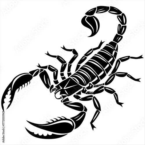 Scorpion Insect Vector - A Black and White Graphic of a Scorpion with its Stinger Raised