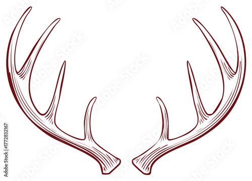 Elegant antler silhouette with detailed lines in a deep red outline